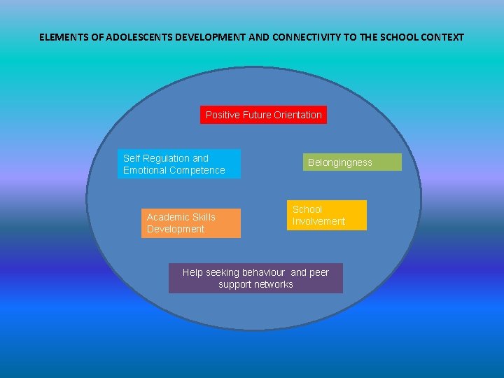 ELEMENTS OF ADOLESCENTS DEVELOPMENT AND CONNECTIVITY TO THE SCHOOL CONTEXT Positive Future Orientation Self