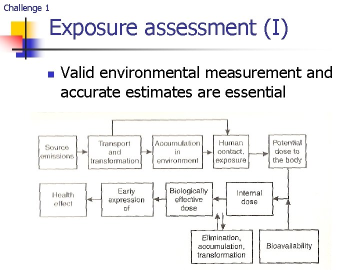 Challenge 1 Exposure assessment (I) n Valid environmental measurement and accurate estimates are essential