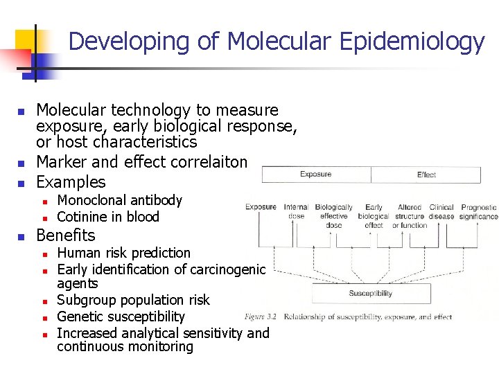 Developing of Molecular Epidemiology n n n Molecular technology to measure exposure, early biological