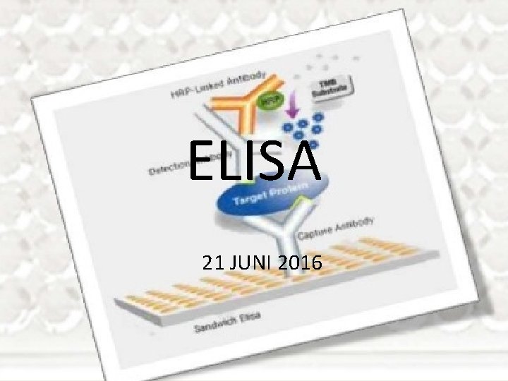 ELISA 21 JUNI 2016 