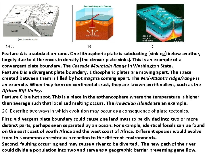 19. A B C Feature A is a subduction zone. One lithospheric plate is