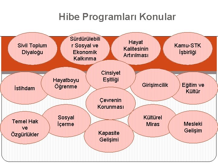 Hibe Programları Konular Sivil Toplum Diyaloğu İstihdam Sürdürülebili r Sosyal ve Ekonomik Kalkınma Hayatboyu