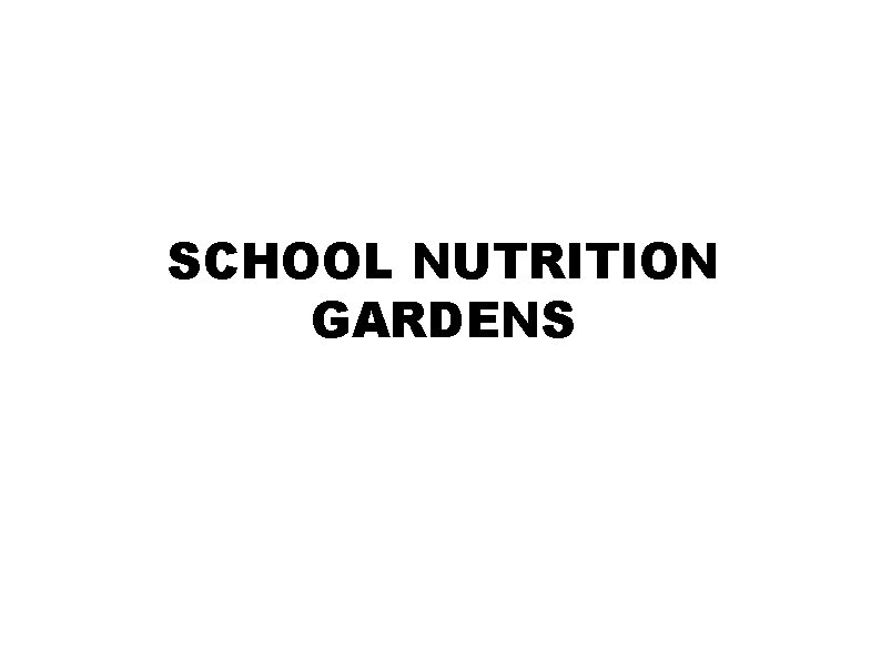 SCHOOL NUTRITION GARDENS 