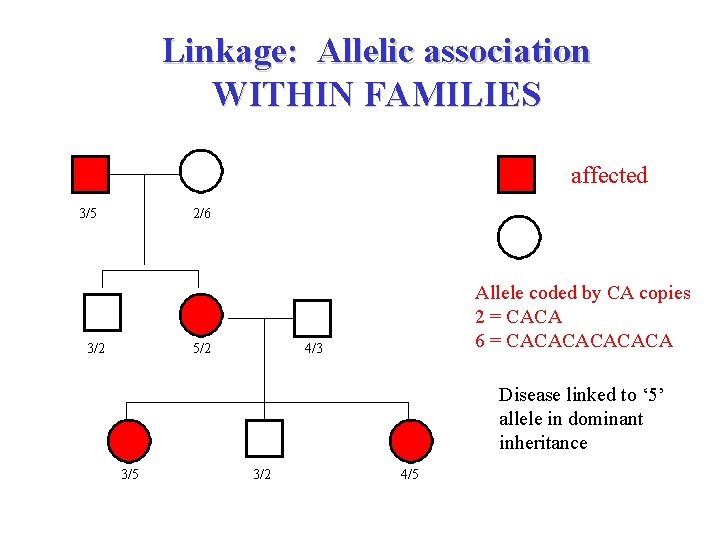Linkage: Allelic association WITHIN FAMILIES affected 3/5 2/6 unaffected 3/2 5/2 Allele coded by