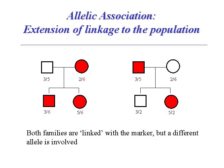 Allelic Association: Extension of linkage to the population 3/5 3/6 2/6 5/6 3/5 3/2