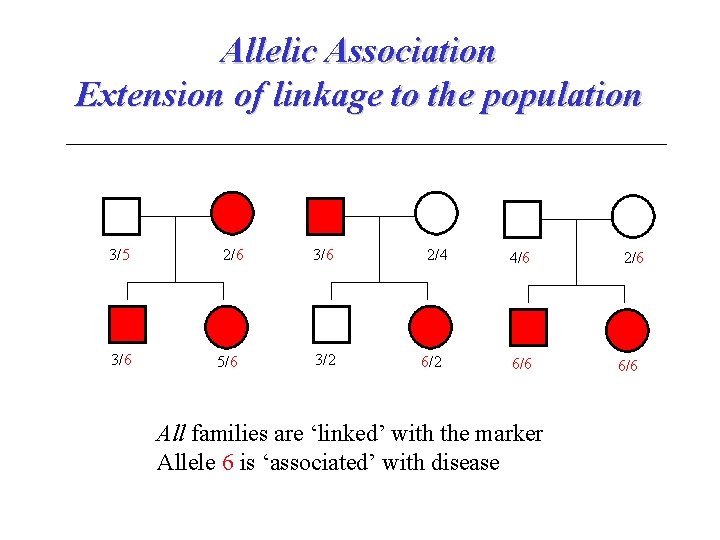 Allelic Association Extension of linkage to the population 3/5 3/6 2/6 5/6 3/2 2/4