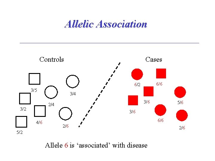 Allelic Association Controls Cases 6/6 6/2 3/5 3/4 3/6 2/4 3/2 5/6 3/6 4/6