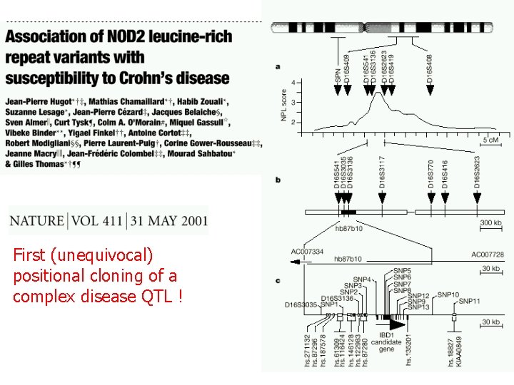 First (unequivocal) positional cloning of a complex disease QTL ! 