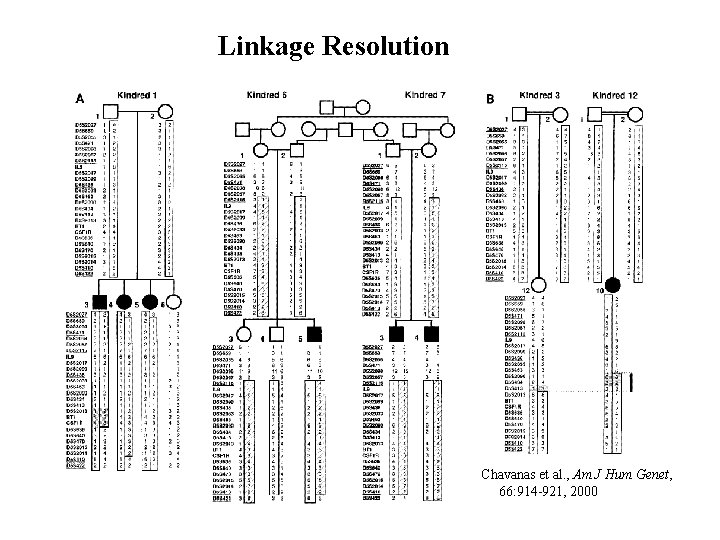 Linkage Resolution Chavanas et al. , Am J Hum Genet, 66: 914 -921, 2000