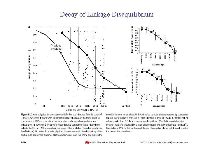 Decay of Linkage Disequilibrium Reich et al. , Nature 2001 