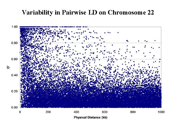 Variability in Pairwise LD on Chromosome 22 