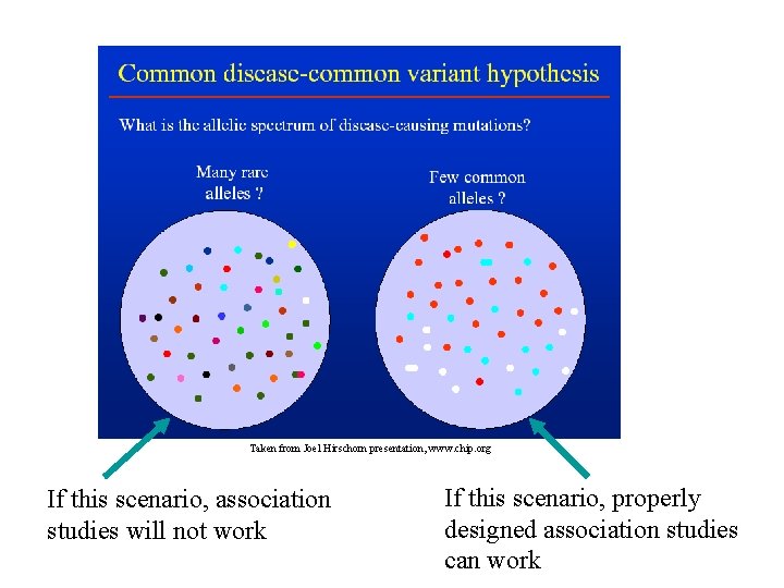 Taken from Joel Hirschorn presentation, www. chip. org If this scenario, association studies will