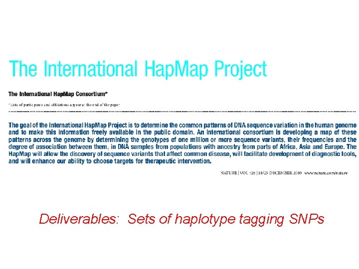 Deliverables: Sets of haplotype tagging SNPs 