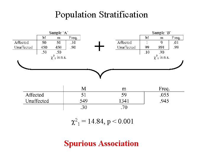 Population Stratification + c 21 = 14. 84, p < 0. 001 Spurious Association