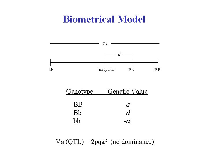 Biometrical Model 2 a d midpoint bb Bb Genotype Genetic Value BB Bb bb