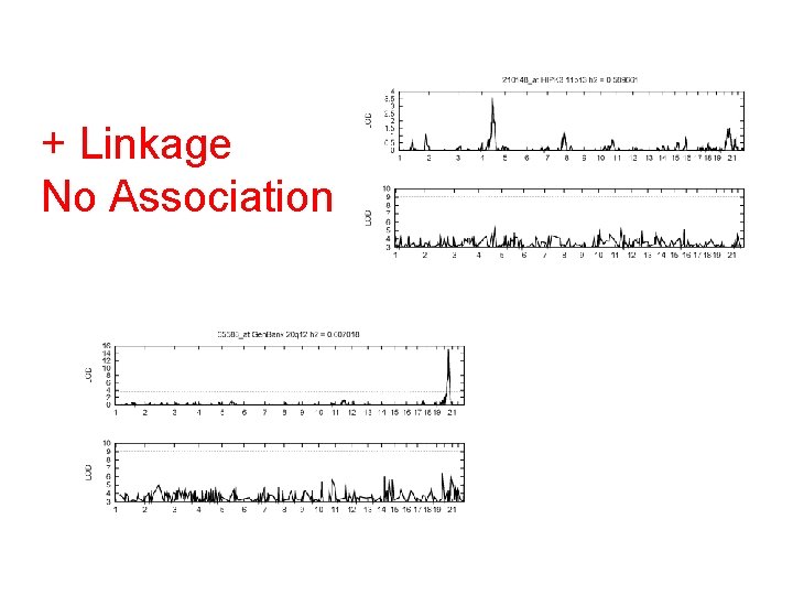 + Linkage No Association 