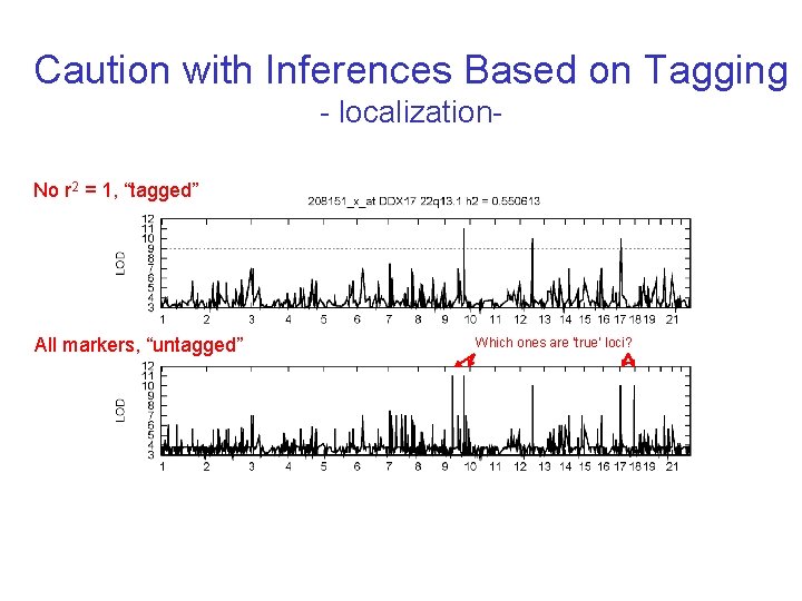 Caution with Inferences Based on Tagging - localization. No r 2 = 1, “tagged”