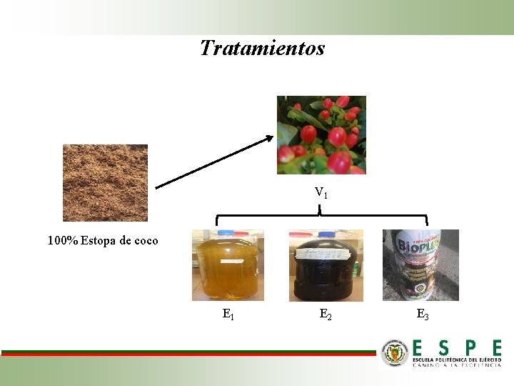 Tratamientos V 1 100% Estopa de coco E 1 E 2 E 3 