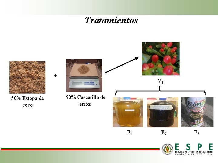 Tratamientos + 50% Estopa de coco V 1 50% Cascarilla de arroz E 1