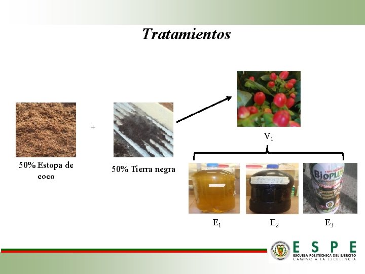 Tratamientos + 50% Estopa de coco V 1 50% Tierra negra E 1 E