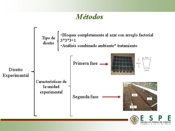 Métodos • Bloques completamente al azar con arreglo factorial Tipo de 3*3*3+1 diseño •