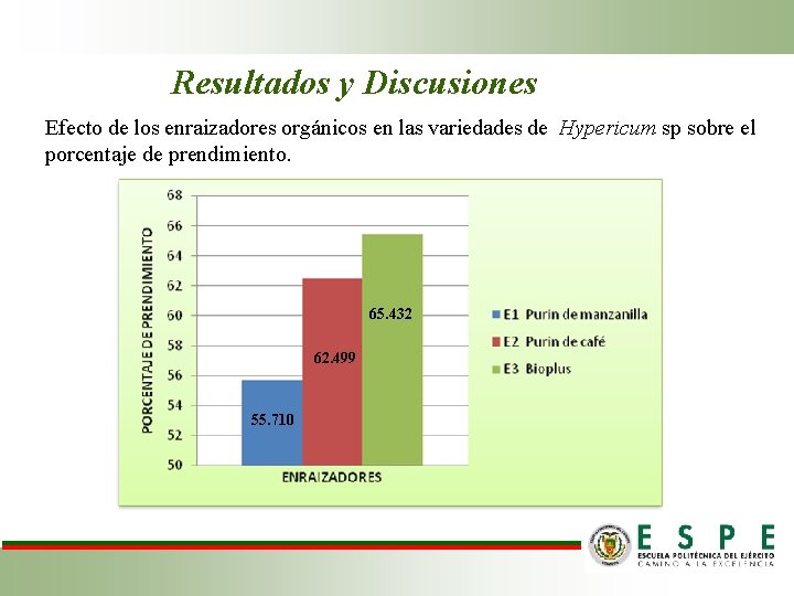 Resultados y Discusiones Efecto de los enraizadores orgánicos en las variedades de Hypericum sp