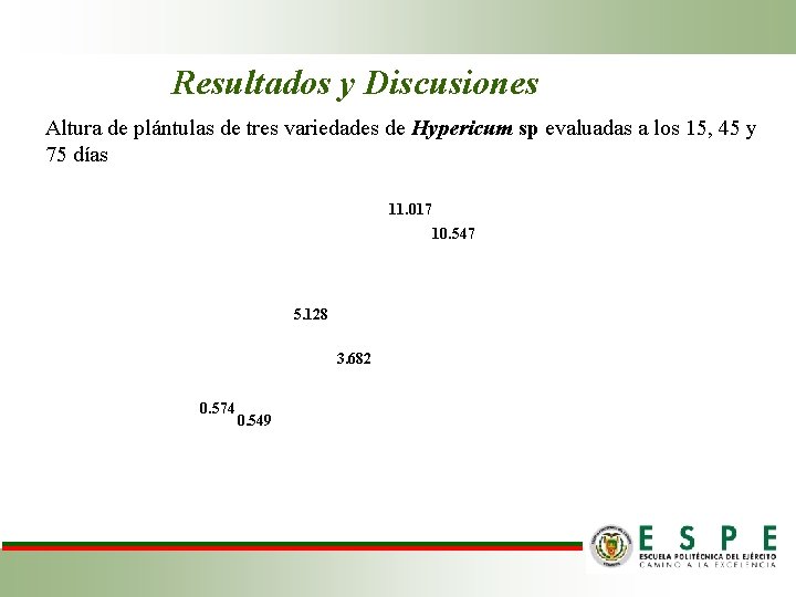 Resultados y Discusiones Altura de plántulas de tres variedades de Hypericum sp evaluadas a