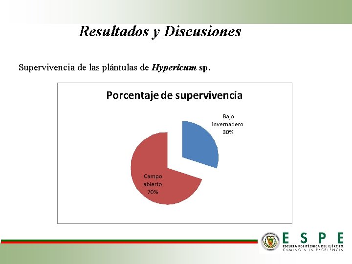 Resultados y Discusiones Supervivencia de las plántulas de Hypericum sp. 