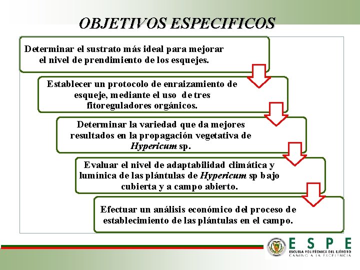 OBJETIVOS ESPECIFICOS Determinar el sustrato más ideal para mejorar el nivel de prendimiento de