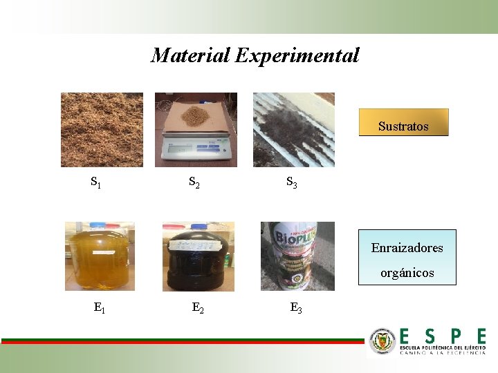 Material Experimental Sustratos S 1 S 2 S 3 Enraizadores orgánicos E 1 E