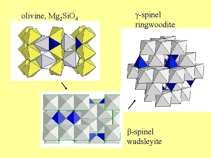 olivine, polymorphs Mg 2 Si. O 4 g-spinel ringwoodite b-spinel wadsleyite 