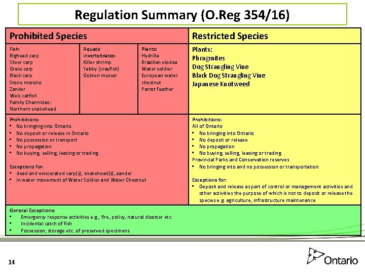 Regulation Summary (O. Reg 354/16) Prohibited Species Fish: Bighead carp Silver carp Grass carp