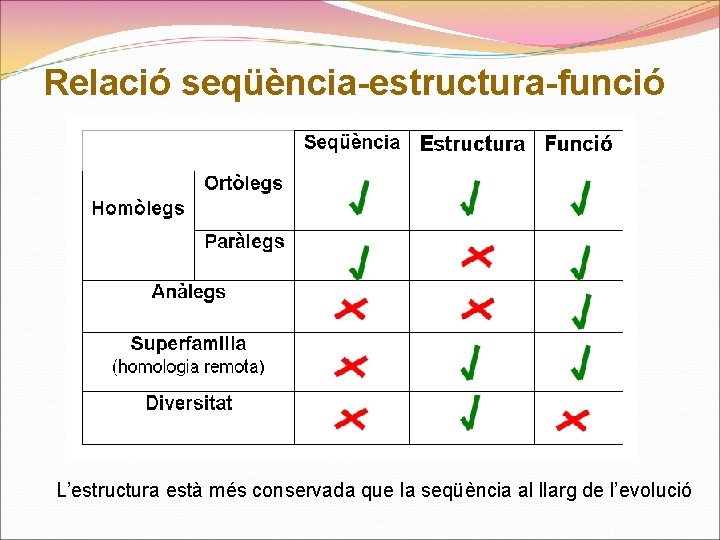 Relació seqüència-estructura-funció L’estructura està més conservada que la seqüència al llarg de l’evolució 