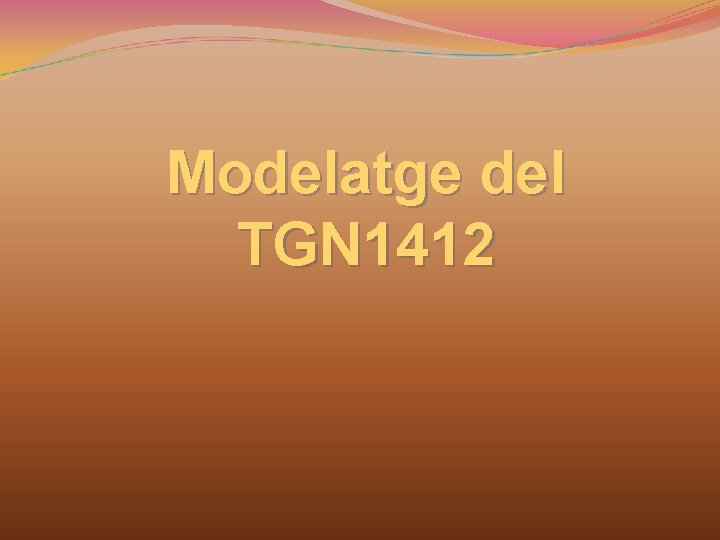 Modelatge del TGN 1412 