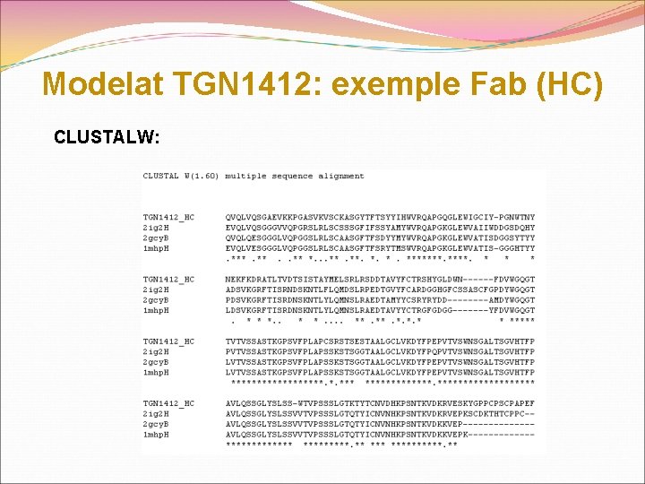 Modelat TGN 1412: exemple Fab (HC) CLUSTALW: 
