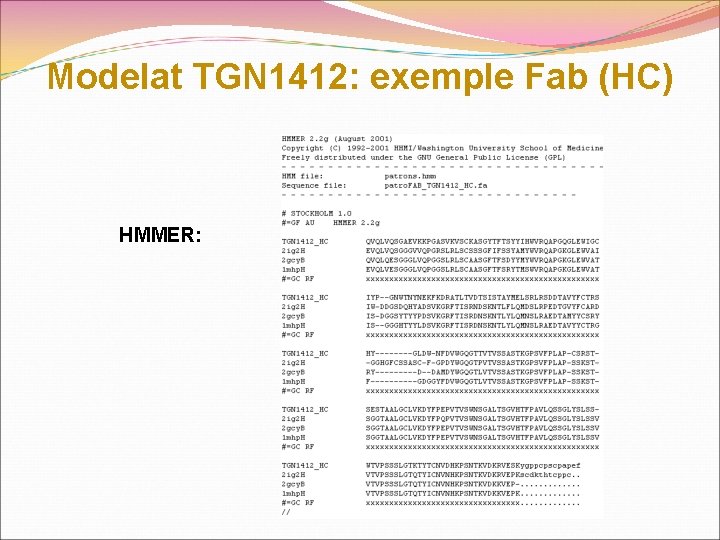 Modelat TGN 1412: exemple Fab (HC) HMMER: 