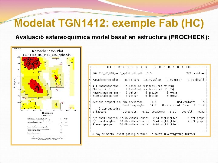 Modelat TGN 1412: exemple Fab (HC) Avaluació estereoquímica model basat en estructura (PROCHECK): 