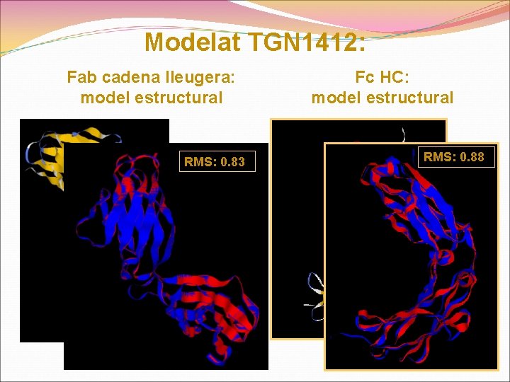 Modelat TGN 1412: Fab cadena lleugera: model estructural RMS: 0. 83 Fc HC: model