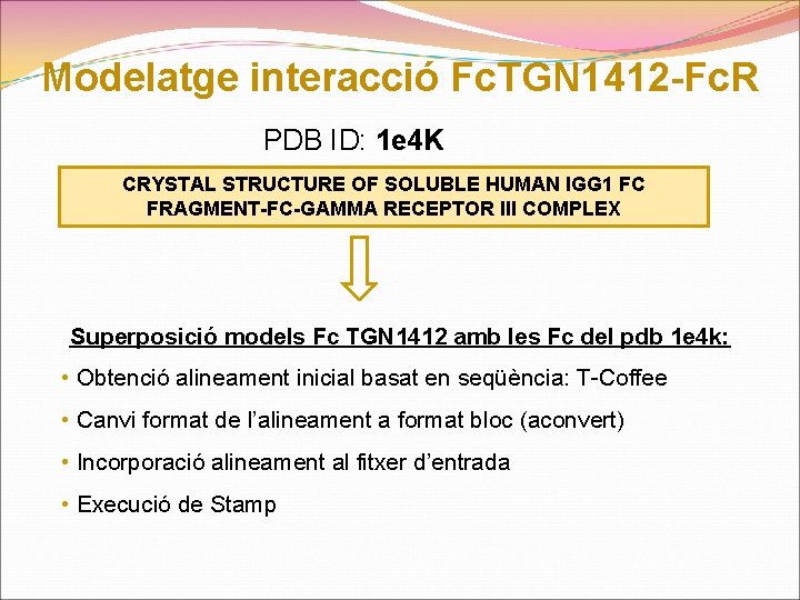 Modelatge interacció Fc. TGN 1412 -Fc. R PDB ID: 1 e 4 K CRYSTAL