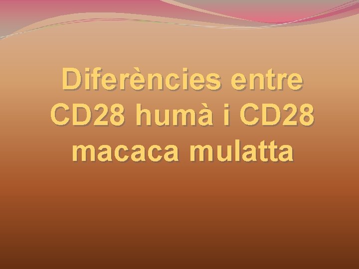 Diferències entre CD 28 humà i CD 28 macaca mulatta 