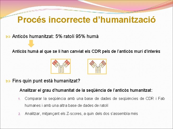 Procés incorrecte d’humanització Anticòs humanitzat: 5% ratolí 95% humà Anticòs humà al que se