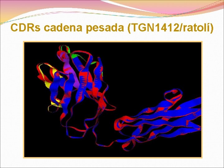 CDRs cadena pesada (TGN 1412/ratolí) 