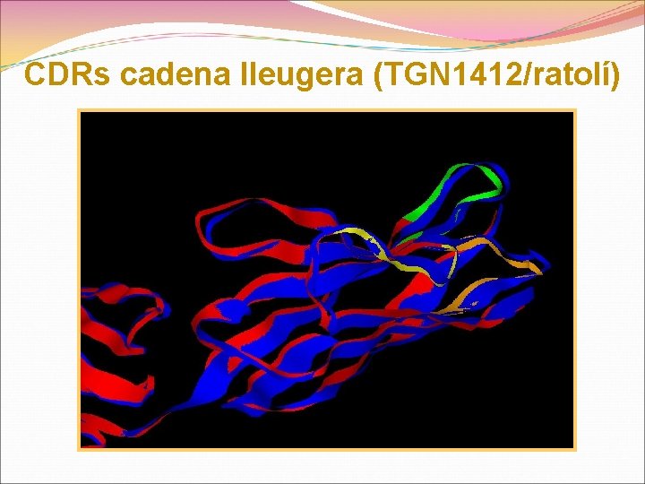 CDRs cadena lleugera (TGN 1412/ratolí) 