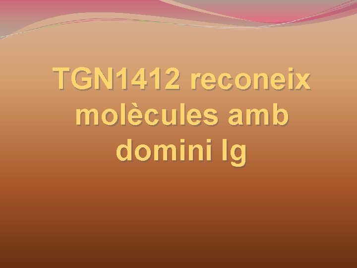 TGN 1412 reconeix molècules amb domini Ig 