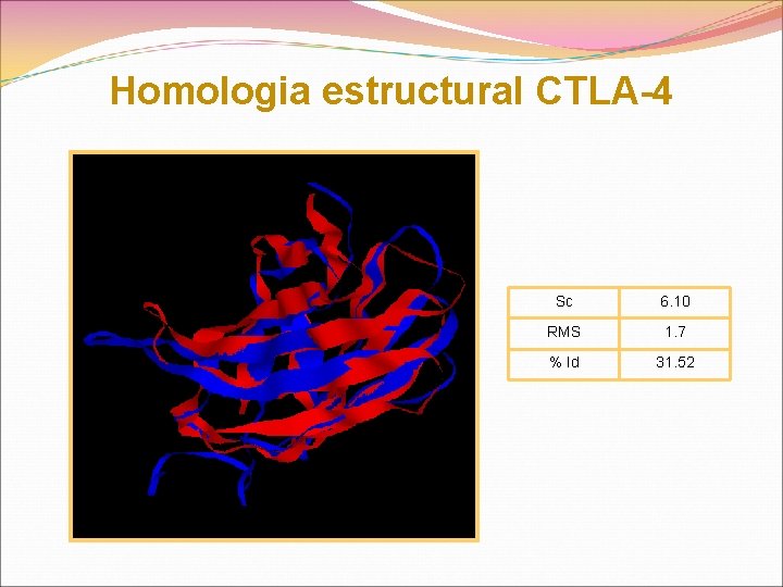 Homologia estructural CTLA-4 Sc 6. 10 RMS 1. 7 % Id 31. 52 