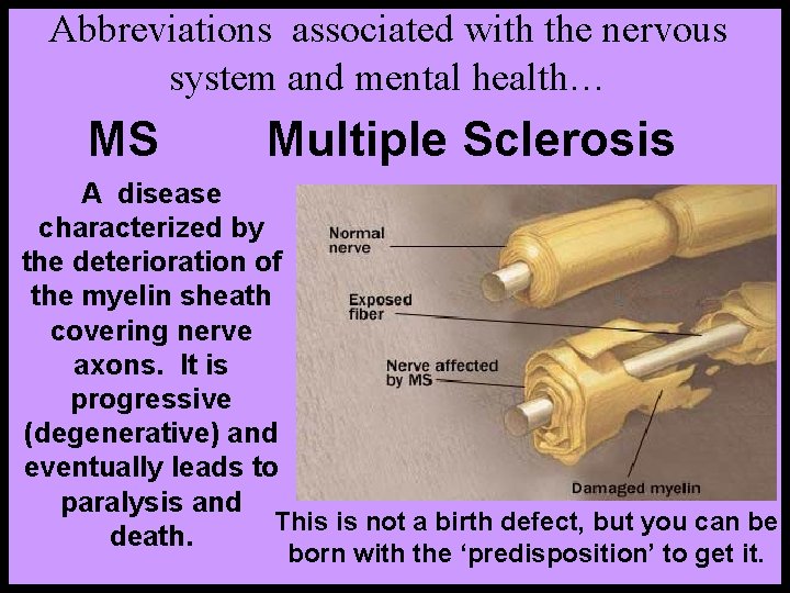 Abbreviations associated with the nervous system and mental health… MS Multiple Sclerosis A disease