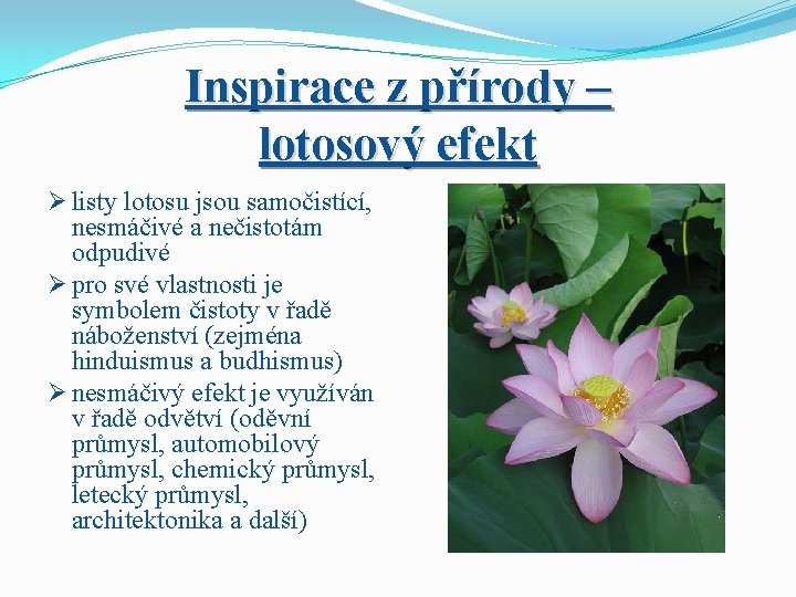 Inspirace z přírody – lotosový efekt Ø listy lotosu jsou samočistící, nesmáčivé a nečistotám