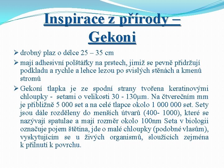 Inspirace z přírody – Gekoni Ø drobný plaz o délce 25 – 35 cm