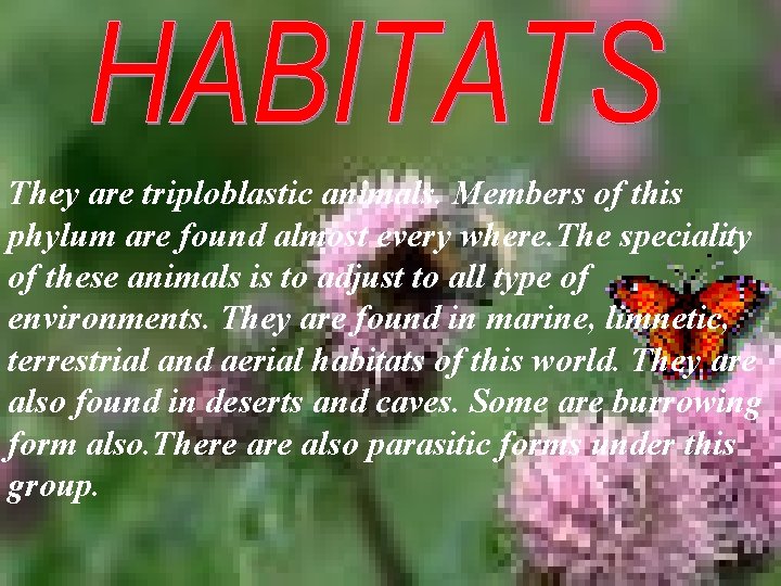 They are triploblastic animals. Members of this phylum are found almost every where. The