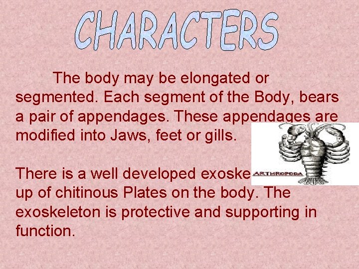 The body may be elongated or segmented. Each segment of the Body, bears a